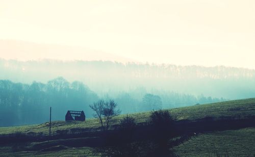 Trees on landscape against sky during foggy weather