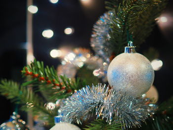 Close-up of christmas tree at night