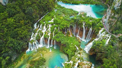 Scenic view of waterfall in forest