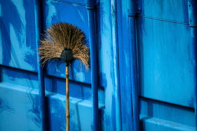 Close-up of blue window of building