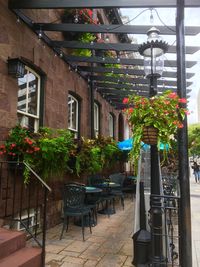 Potted plants on the wall