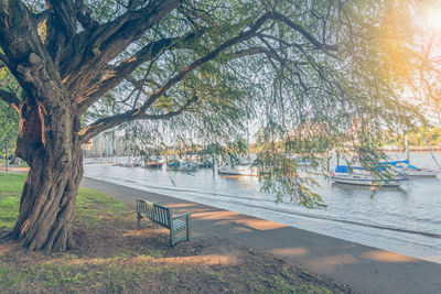 Scenic view of bare trees in water