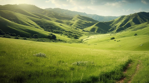 Scenic view of landscape against sky