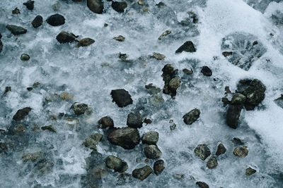 High angle view of rocks on snow covered land
