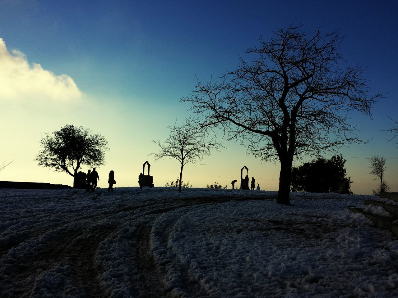 bare tree, tree, silhouette, tranquility, landscape, tranquil scene, sky, blue, scenics, nature, beauty in nature, field, sand, clear sky, sunlight, solitude, outdoors, sunset, non-urban scene, remote