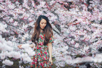 Young asian woman, in a floral pattern dress, in front of blossoming cherry tree in the spring time