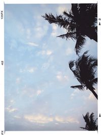 Low angle view of trees against cloudy sky