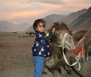 mammal, offspring, one animal, child, girls, mountain, domestic animals, childhood, nature, females, working animal, women, landscape, hair, three quarter length, domestic, people, outdoors, positive emotion