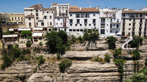 Plants and old buildings in city