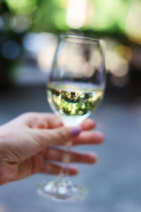 Close-up of hand holding glass of wine