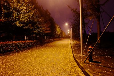 Illuminated street lights at night