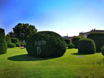 Trees growing in garden against clear sky