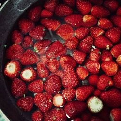 Close-up of strawberries