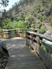 Wooden footbridge amidst trees in forest