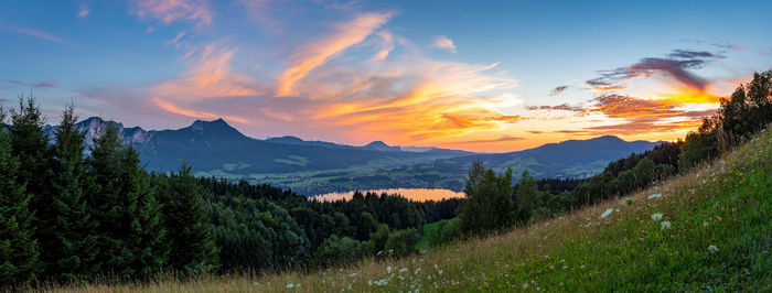 Scenic view of field against sky during sunset