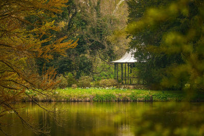 Trees by lake in forest during autumn