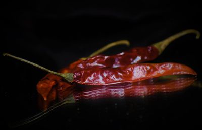 Close-up of red chili pepper against black background