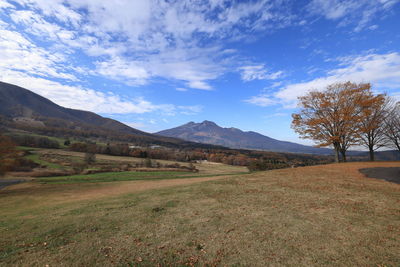 Scenic view of landscape against sky