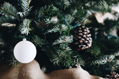 Close-up of christmas decorations hanging on tree
