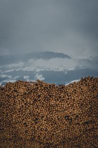 Scenic view of wood piles and mountains against sky