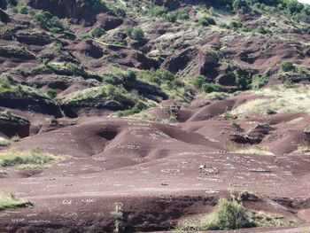 Scenic view of landscape