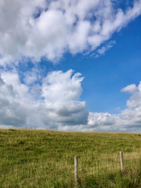 Scenic view of field against sky