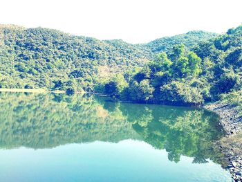 Reflection of trees in river