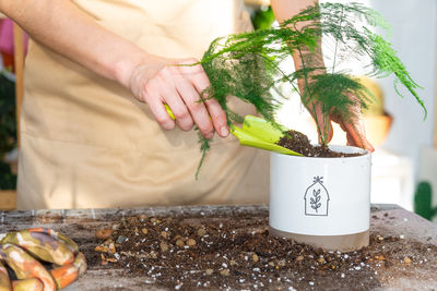 Midsection of man preparing food