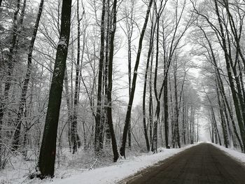 Snow covered trees in forest against sky