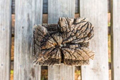 Close-up of damaged wooden post