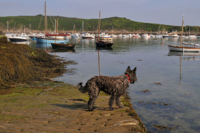 View of boats in a lake