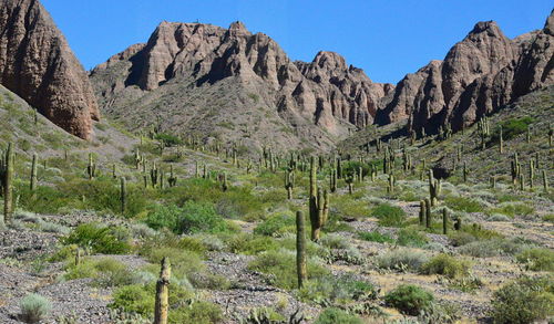 Scenic view of mountains against clear sky