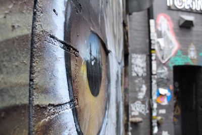 Close-up view of blurred background