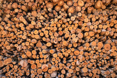 Full frame shot of logs in forest