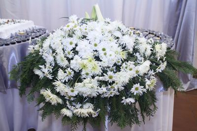 Close-up of white flowering plant