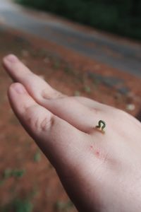 Close-up of insect on hand