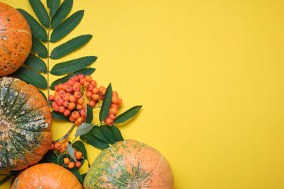 Close-up of fruits and leaves against orange background