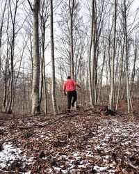 Rear view of woman standing in forest