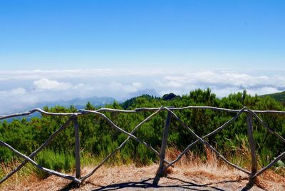 Fence against tree mountain