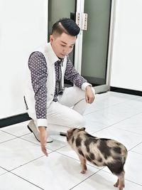 Full length of cat standing on tiled floor at home