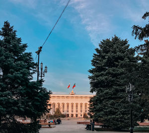 Trees in city against cloudy sky