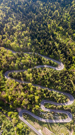 High angle view of road amidst trees