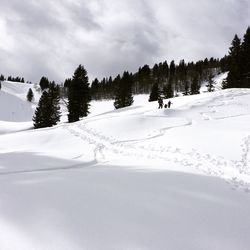 Scenic view of snow covered landscape