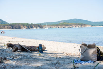 Scenic view of beach against clear sky