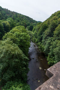 Scenic view of forest against sky