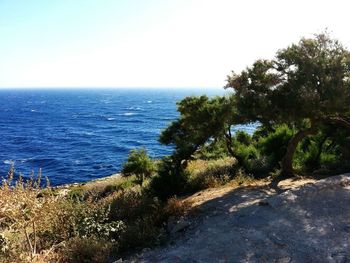 Scenic view of sea against clear sky