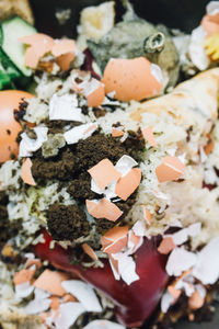 Close-up of food