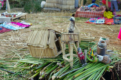 Close-up of birds in basket on field