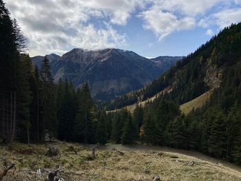 Scenic view of pine trees by mountains against sky