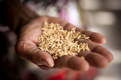 Close-up of farmer hand holding grains